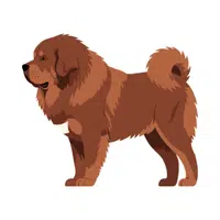 Tibetan Mastiff | Guard Animals Names 