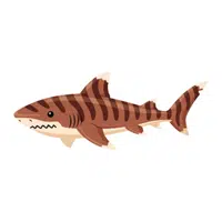 Tiger Shark | Carnivorous Animals Names
