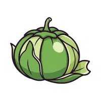 Tomatillo | Fruit Vegetables Names