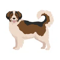 Tornjak | Guard Animals Names