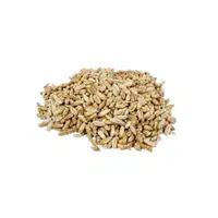 Triticale | Cereals Names