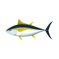 Tuna | Carnivorous Animals Names