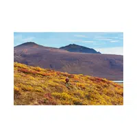 Tundra | Landforms Names