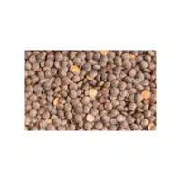 Unhulled Lentils | Lentils Names