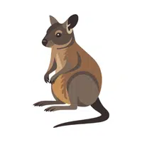 Wallaby