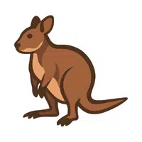 Wallaby | Friendly Animals Names