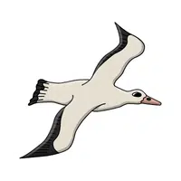 Wandering Albatross | Largest Animals Names