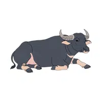 Water Buffalo | Largest Animals Names