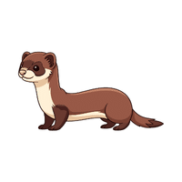 Weasel | Carnivorous Animals Names