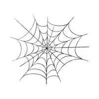 Web | 100 Natural Things Names