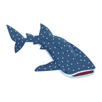 Whale Shark