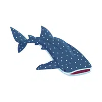 Whale Shark | Largest Animals Names