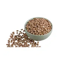 Wheat Berries 