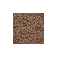 Whole Lentils | Lentils Names