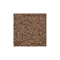 Whole Lentils | Lentils Names