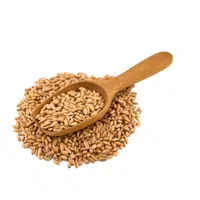 Wholegrain 
