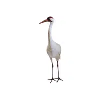 Whooping Crane | Endangered Animals Names