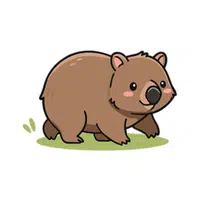 Wombat | Friendly Animals Names