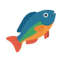 Wrasse | Swimming Animals Names