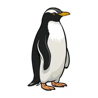 Yellow Eyed Penguin