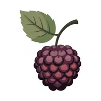 Youngberry 