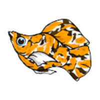 Balloon | Molly Breeds Names