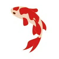 Bekko