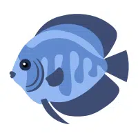 Blue | Discus Breeds Names 