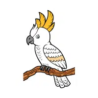 Citron Crested