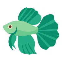 Copper | Betta Breeds Names