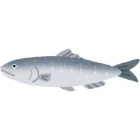 Crucian