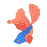 Elephant Ear | Betta Breeds Names