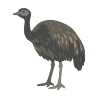 Giant | Emu Breeds Names