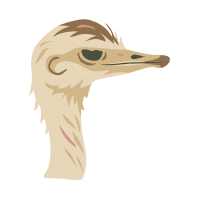 Grey | Emu Breeds Names