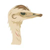 Grey | Emu Breeds Names