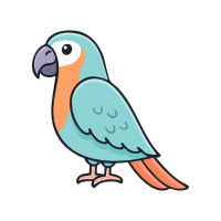 Hahn’s | Macaw Breeds Names