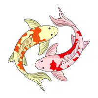 Kawarimono | Koi Breeds Names