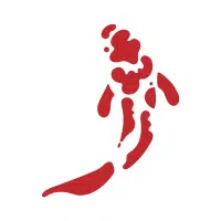 Ki | Koi Breeds Names