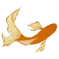 Kikokuryu | Koi Breeds Names