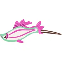 Koi | Swordtail Breeds Names