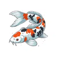 Koi | Carp Breeds Names