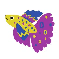 Koi Betta