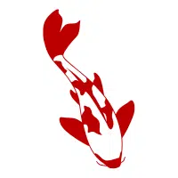 Kujaku | Koi Breeds Names