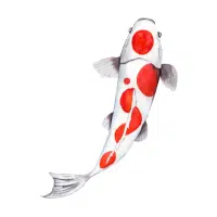 Kumonryu | Koi Breeds Names