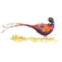 Lady Margaret | Pheasant Breeds Names