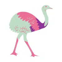 Light | Emu Breeds Names