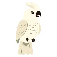 Long Corella | Cockatoo Breeds Names