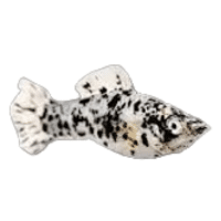 Marble | Molly Breeds Names