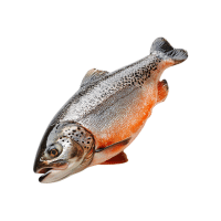 Marble | Trout Breeds Names