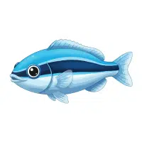 Matsuba | Carp Breeds Names